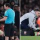Split image featuring Mikel Arteta, Premier League referee and David Raya.