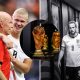 Split image featuring Stale Solbakken, Erling Haaland, Thomas Tuchel and Harry Kane.